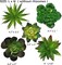 5 Pcs Faux Succulents Set,Realistic Large Fake Succulents,Artificial Hanging Ornaments Fleshed Plant Textured for Home Garden Wedding Party Decoration (Green)